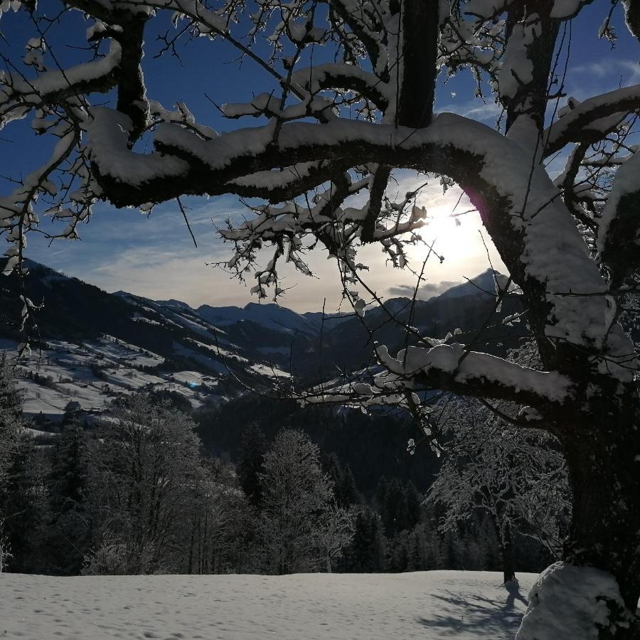 Woerglerhof Villa Alpbach Esterno foto